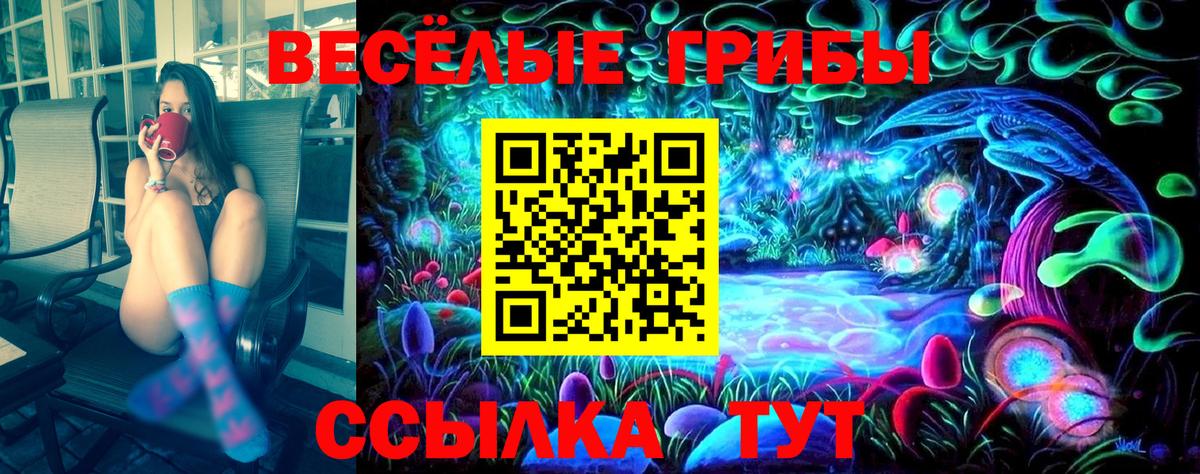 Галлюциногенные грибы Psilocybine cubensis  Вход с VPN  где купить наркоту  Северск 