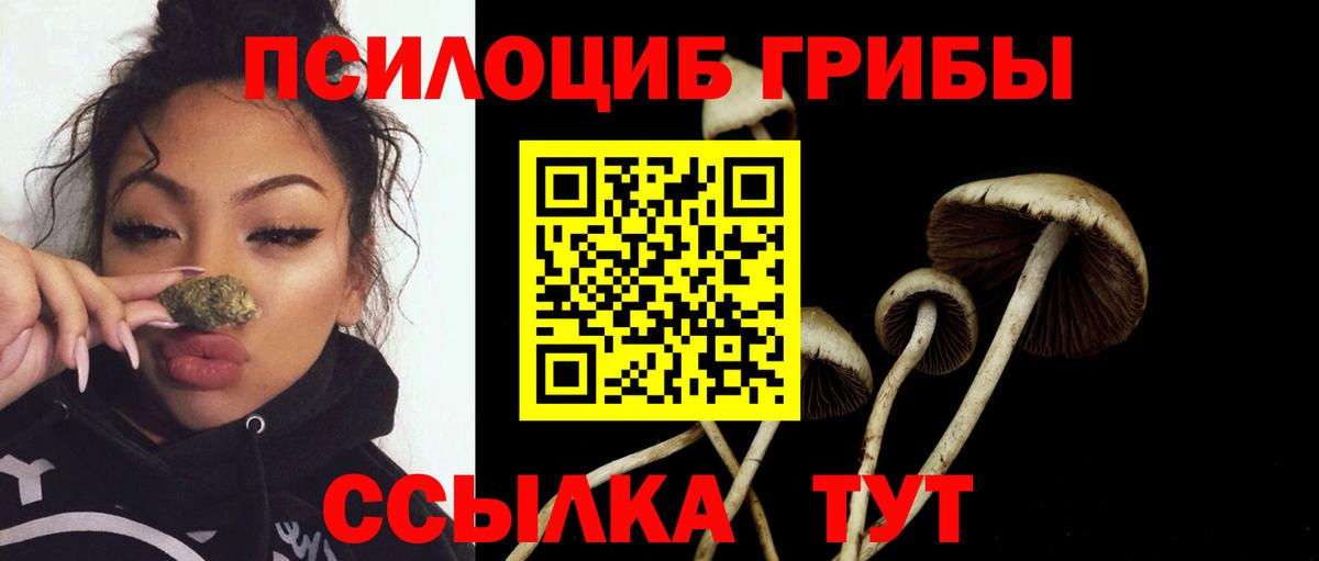 Галлюциногенные грибы MAGIC MUSHROOMS Северск